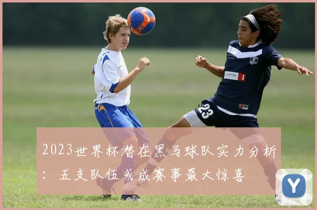 2023世界杯潜在黑马球队实力分析：五支队伍或成赛事最大惊喜