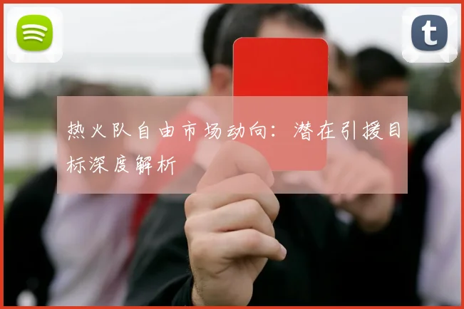 热火队自由市场动向：潜在引援目标深度解析