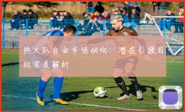 热火队自由市场动向：潜在引援目标深度解析